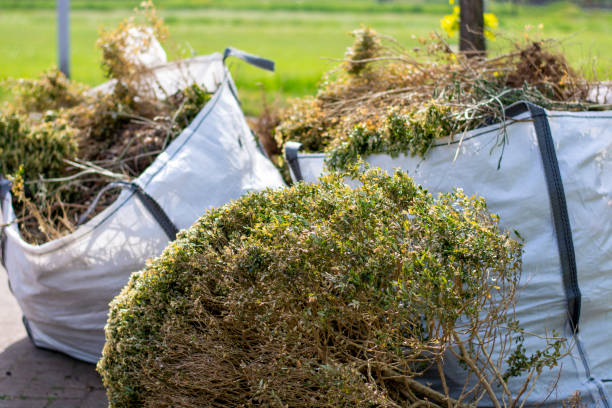 Shed Removal in Puhi, HI